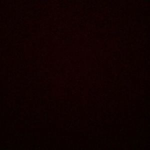 Meet your Posher, Abbigail